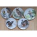 Set of 5 Collectible Plates "Wild Birds of the World"