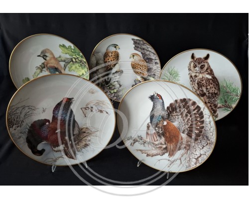 Set of 5 Collectible Plates "Wild Birds of the World"