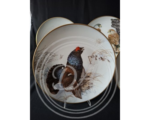 Set of 5 Collectible Plates "Wild Birds of the World"