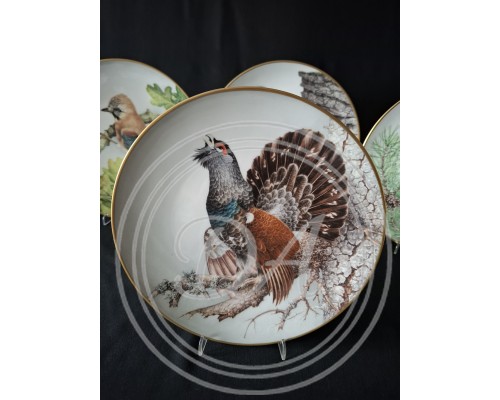 Set of 5 Collectible Plates "Wild Birds of the World"