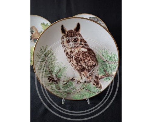 Set of 5 Collectible Plates "Wild Birds of the World"