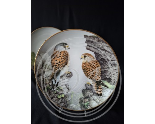 Set of 5 Collectible Plates "Wild Birds of the World"