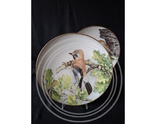 Set of 5 Collectible Plates "Wild Birds of the World"