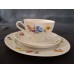 Vintage Tea and Coffee Set "Meissen Bouquet" for 6 Persons, Eschenbach 1950s