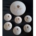Set (1 + 6 pieces) Rosenthal "Shadow Rose"