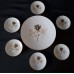 Set (1 + 6 pieces) Rosenthal "Shadow Rose"