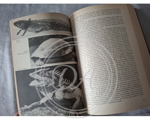 Винтажное издание «Brehms Tierreich» 1970 -х