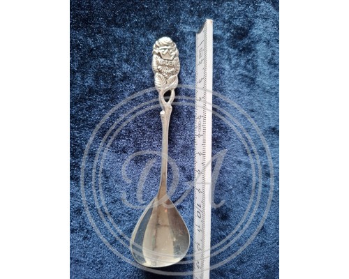 Vintage souvenir spoon "BADER"