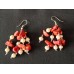 Red coral and white pearl drop earrings.