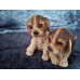 Beagle/Cocker Spaniel puppy figurine, USA