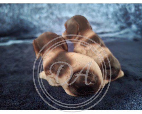 Beagle/Cocker Spaniel puppy figurine, USA