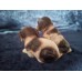 Beagle/Cocker Spaniel puppy figurine, USA