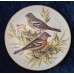 Collector's set "Songbirds of Europe", 7-piece, Germany