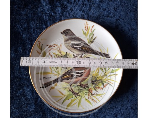 Collector's set "Songbirds of Europe", 7-piece, Germany