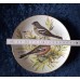 Collector's set "Songbirds of Europe", 7-piece, Germany