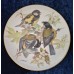 Collector's set "Songbirds of Europe", 7-piece, Germany