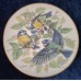 Collector's set "Songbirds of Europe", 7-piece, Germany
