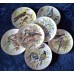 Collector's set "Songbirds of Europe", 7-piece, Germany