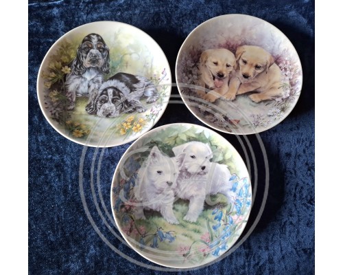 Set of "Puppies" collector plates by Johann Seltmann, Vohenstrauss, Bavaria, Germany.