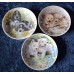 Set of "Puppies" collector plates by Johann Seltmann, Vohenstrauss, Bavaria, Germany.