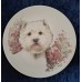 Collector's plate "Terrier"