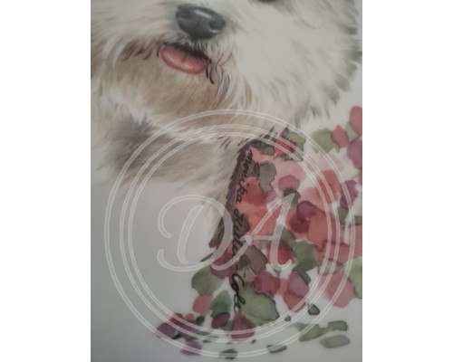 Collector's plate "Terrier"