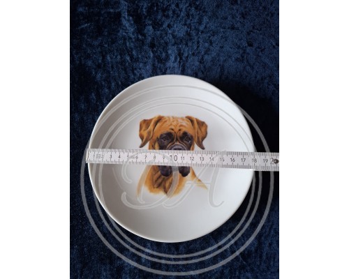 Collector's plate "Boxer" Germany