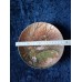 Collector's plate "Roadside Robin" Tirschenreuth 1990