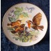 Collector's plate "Hungrige Rotkehlchen" "Hungry Robins" Hutschenreuther 1993