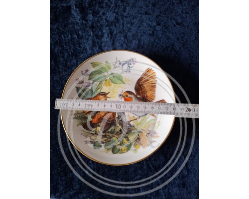 Collector's plate "Hungrige Rotkehlchen" "Hungry Robins" Hutschenreuther 1993