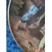 Bareuther collector's item "Bird" 1991