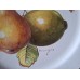 English fruit plates 3st.