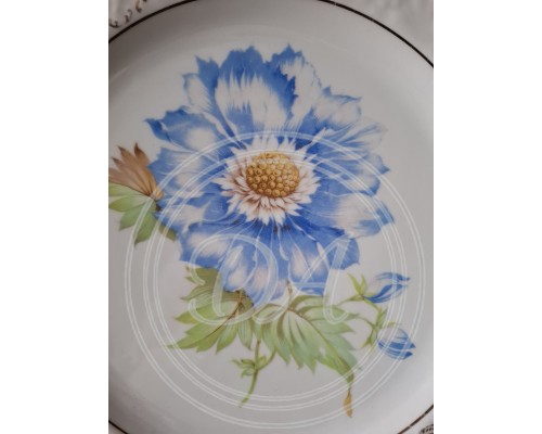 dish Schumann Blu