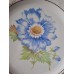 dish Schumann Blu
