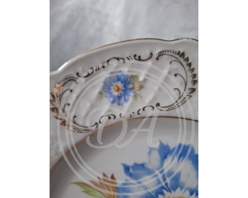 dish Schumann Blu