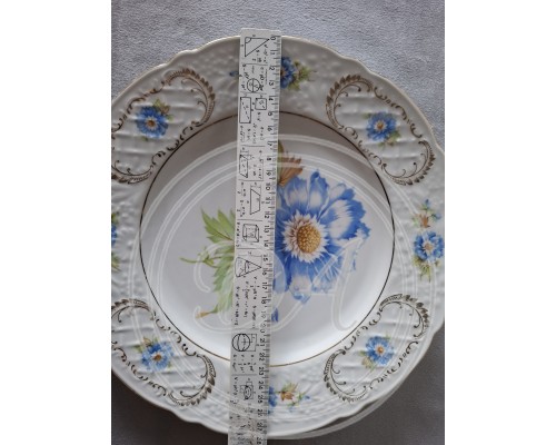 dish Schumann Blu