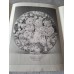 Collectible plate "Bears Tea Party" by Bareuter