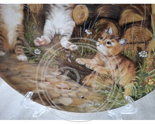 Seltsman kittens " Gymnastics lesson"