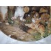 Seltsman kittens " Gymnastics lesson"