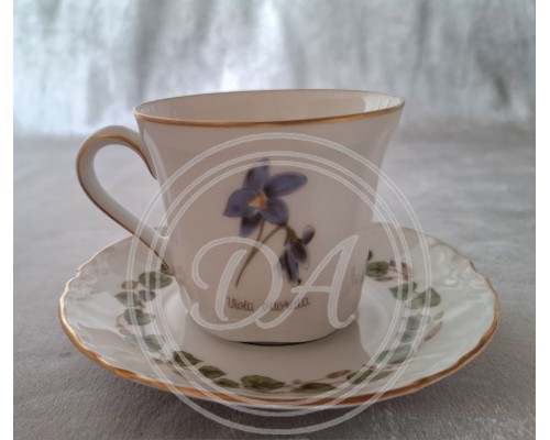Tea set Hutschenreuther 