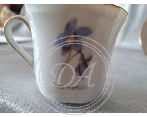 Чайная пара Hutschenreuther, Viola Odorata