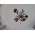 Bavaria Decanter Plate"Hagebutte"