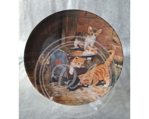  Kollektion Seltmann kittens " Playful kittens "