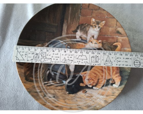 Kollektion Seltmann kittens " Playful kittens "