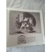 Kittens Seltmann Collectible Plate "Friend or Not Friend?"