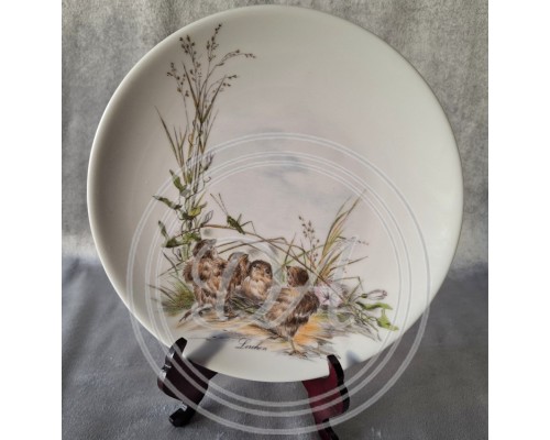 Seltmann collector's plate "Chick"