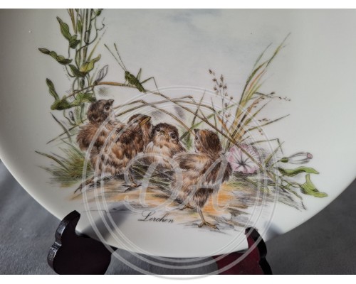 Seltmann collector's plate "Chick"