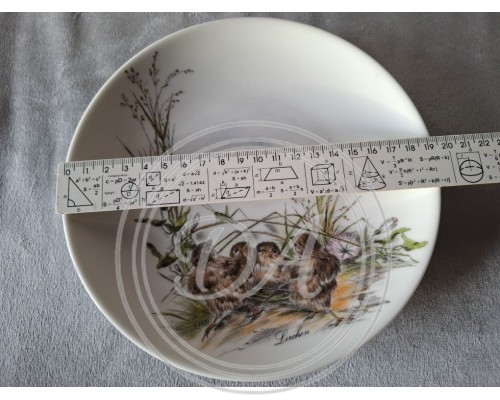Seltmann collector's plate "Chick"