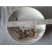 Seltmann collector's plate "Chick"