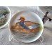Set of collectible plates “Ducks” (1+3)Seltmann